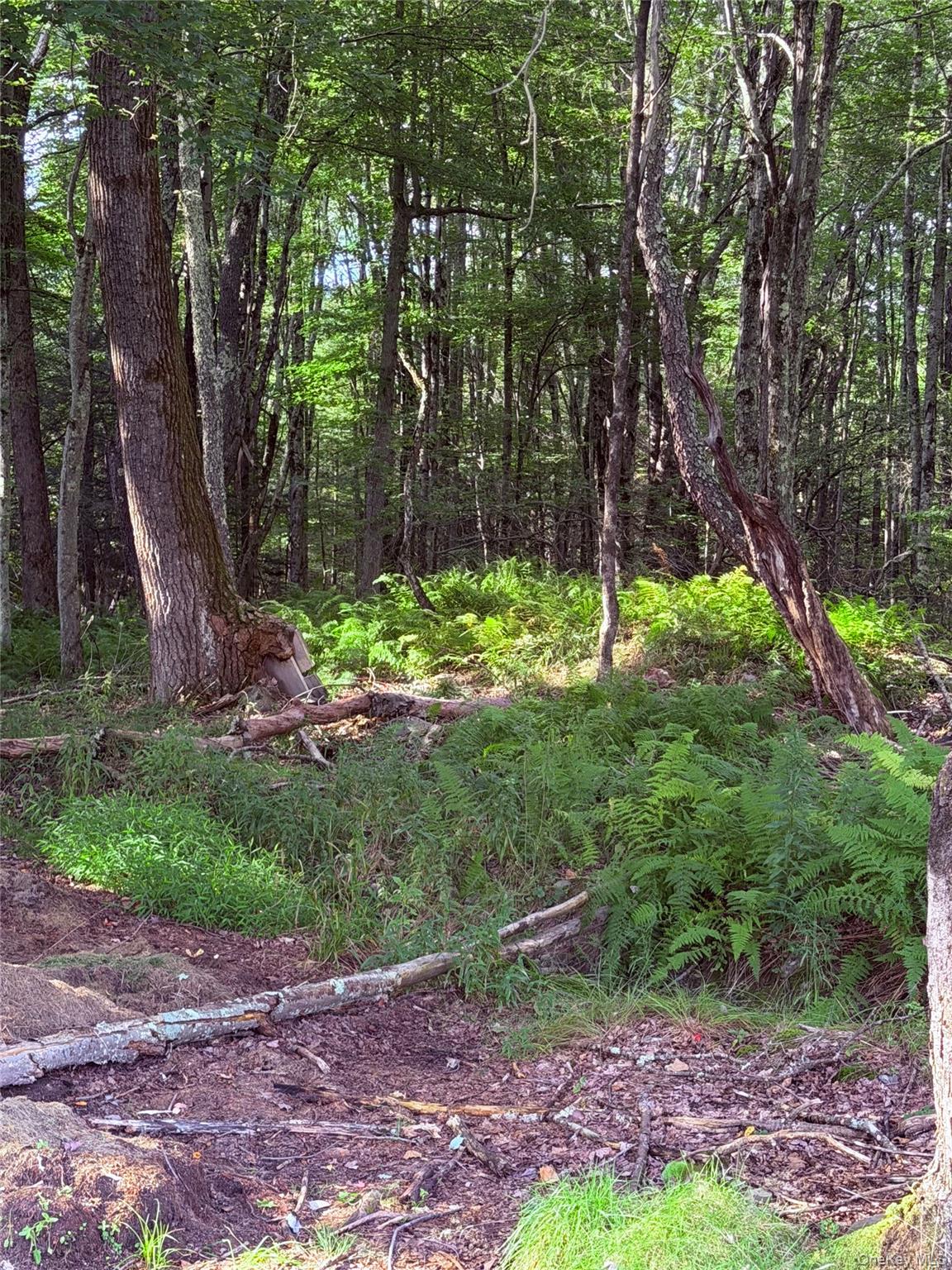 412 Brown Road Ellenville, NY 12428 - Photo 23 of 24 Gallery Image 23