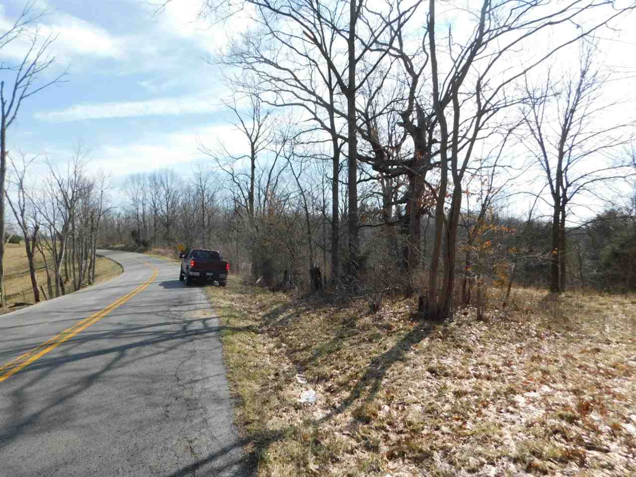 Dogwalk Road Corinth, KY 41010 - Photo 4 of 13