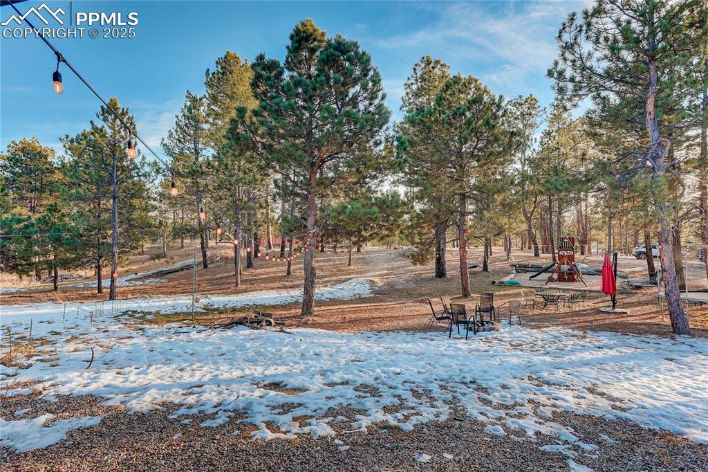 9920 Hodgen Road Colorado Springs, CO 80908 - Photo 32 of 49 a backyard of a house with lots of green space