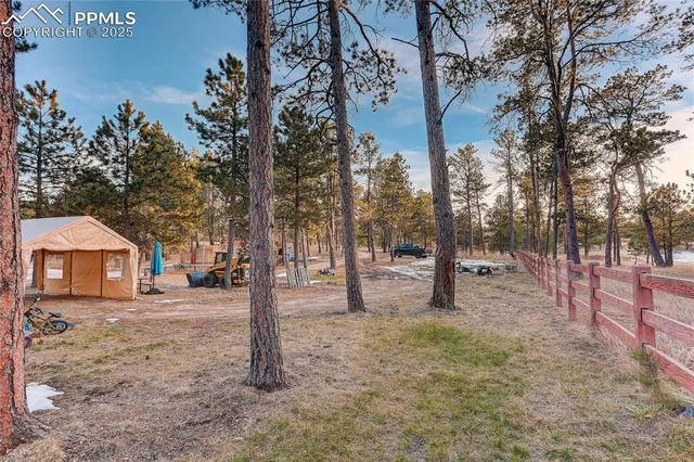 a view of yard with green space