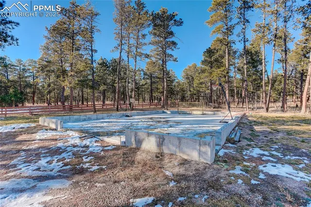 a view of a yard with trees