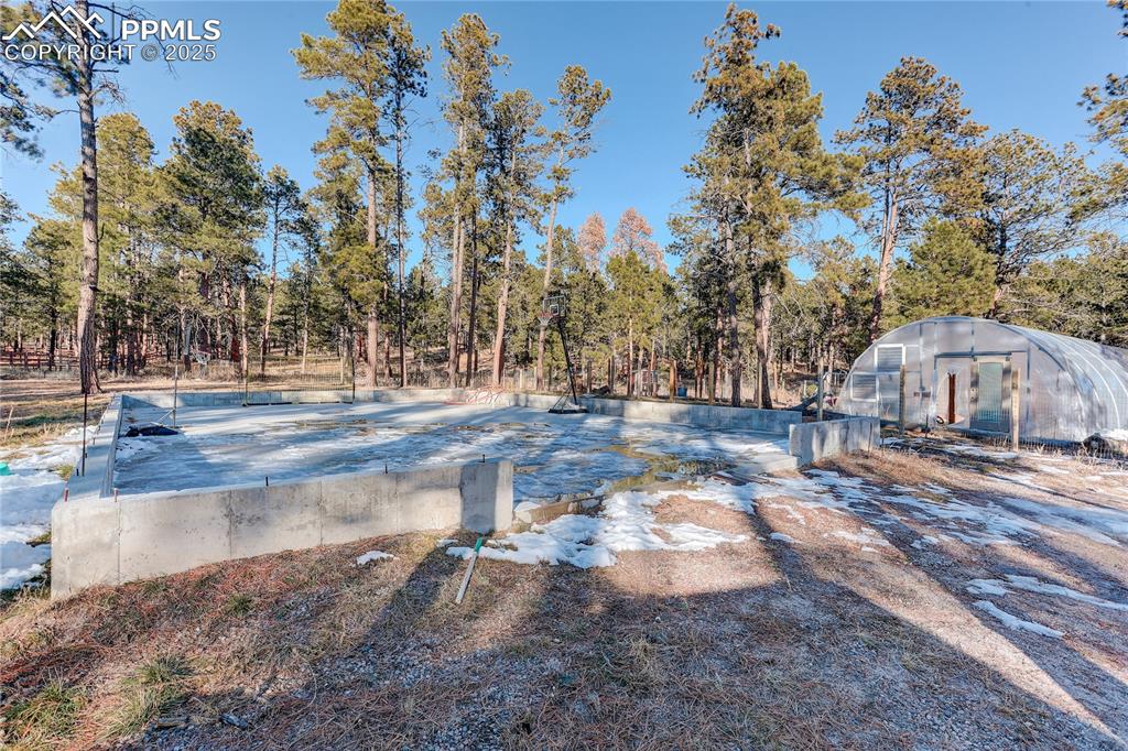 9920 Hodgen Road Colorado Springs, CO 80908 - Photo 36 of 49 a view of a yard with trees