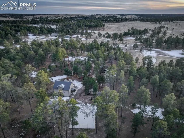 a view of a house with a yard and large tree