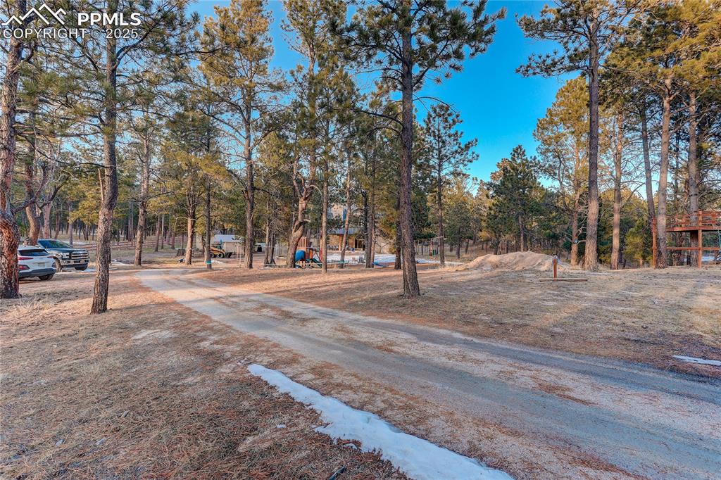 9920 Hodgen Road Colorado Springs, CO 80908 - Photo 47 of 49 a view of park with trees