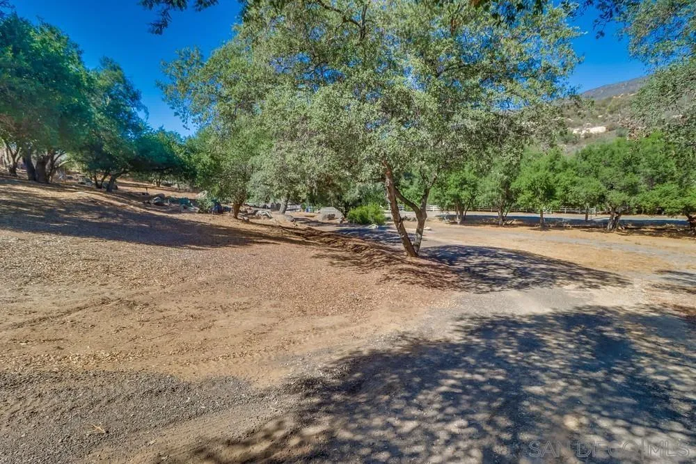 15735 Lawson Valley Road Jamul, CA 91935 - Photo 27 of 37 a view of a yard with plants and large trees