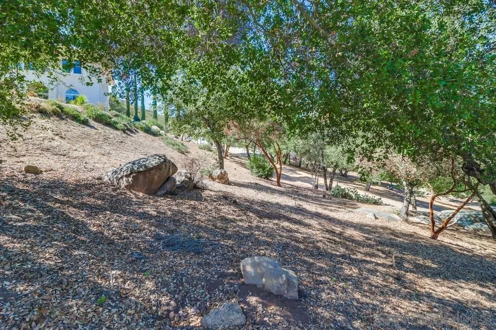 15735 Lawson Valley Road Jamul, CA 91935 - Photo 28 of 37 a view of a yard with plants and trees