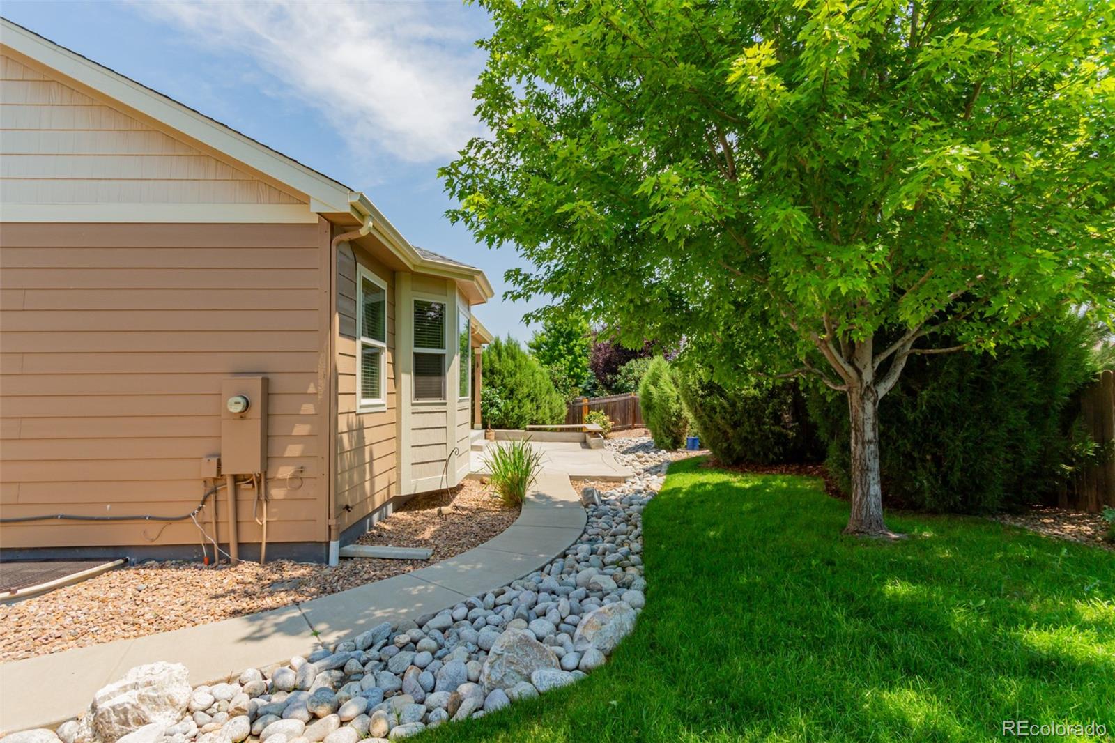 8546 Raspberry Drive Frederick, CO 80504 - Photo 35 of 44 a view of a backyard with a large tree