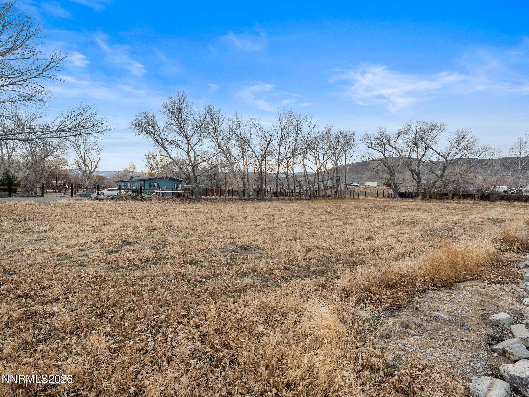 1125 Truckee Lane Fernley, NV 89408 - Photo 24 of 33 a view of a yard with trees in the background