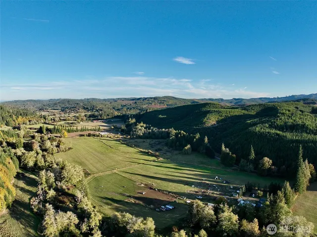 a view of a yard with plants