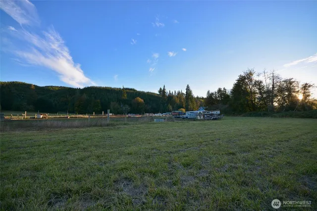 a view of a field of grass and trees