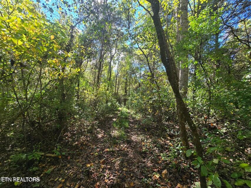 20377 Wilderness Road Rose Hill, VA 24281 - Photo 12 of 49 20251014002418499658000000-o