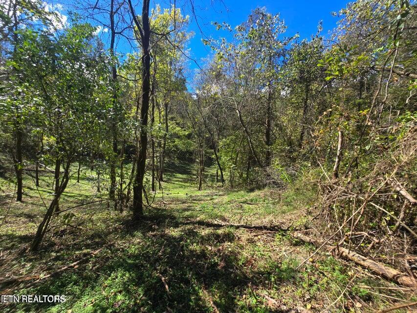 20377 Wilderness Road Rose Hill, VA 24281 - Photo 14 of 49 20251014002428491071000000-o