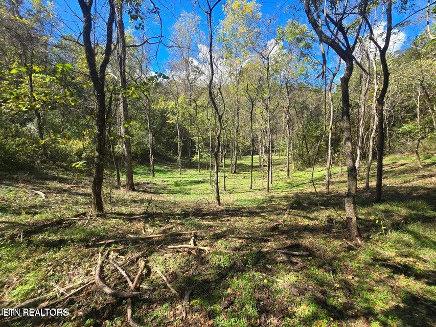 20377 Wilderness Road Rose Hill, VA 24281 - Photo 17 of 49 20251014002443754394000000-o