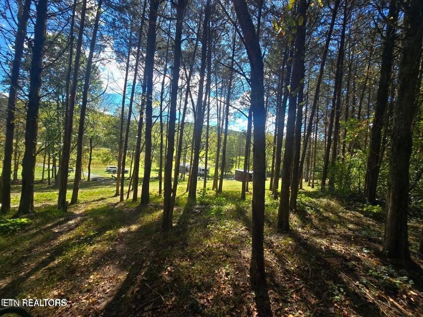 20377 Wilderness Road Rose Hill, VA 24281 - Photo 21 of 49 20251014002519229813000000-o