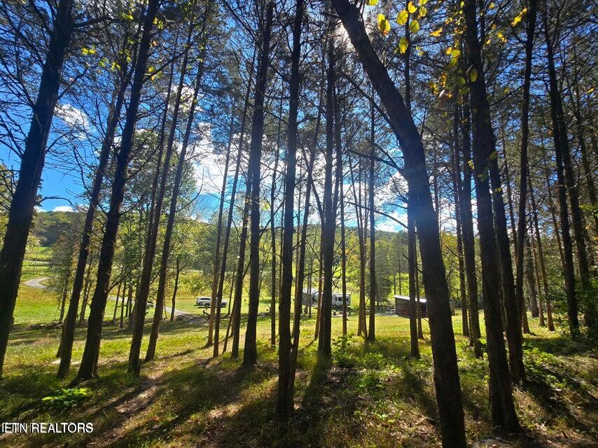 20377 Wilderness Road Rose Hill, VA 24281 - Photo 22 of 49 20251014002523649984000000-o