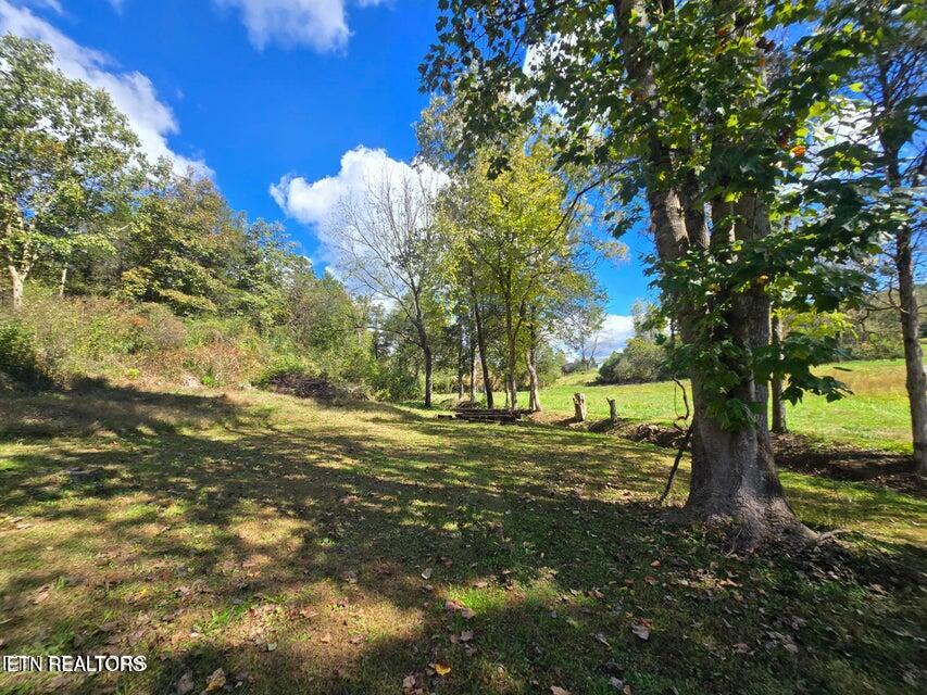 20377 Wilderness Road Rose Hill, VA 24281 - Photo 25 of 49 20251014002545415622000000-o
