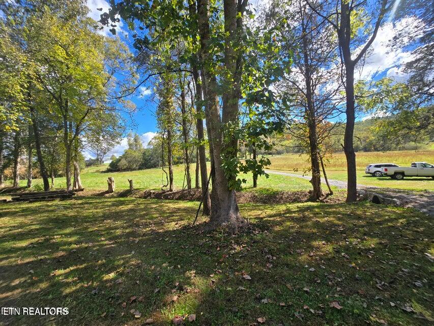 20377 Wilderness Road Rose Hill, VA 24281 - Photo 26 of 49 20251014002551909854000000-o