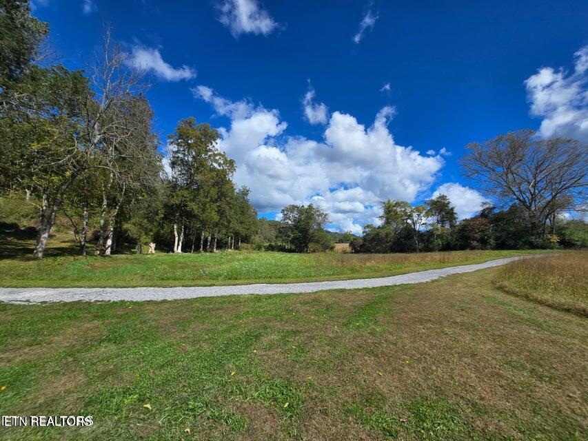 20377 Wilderness Road Rose Hill, VA 24281 - Photo 33 of 49 20251014002717473942000000-o