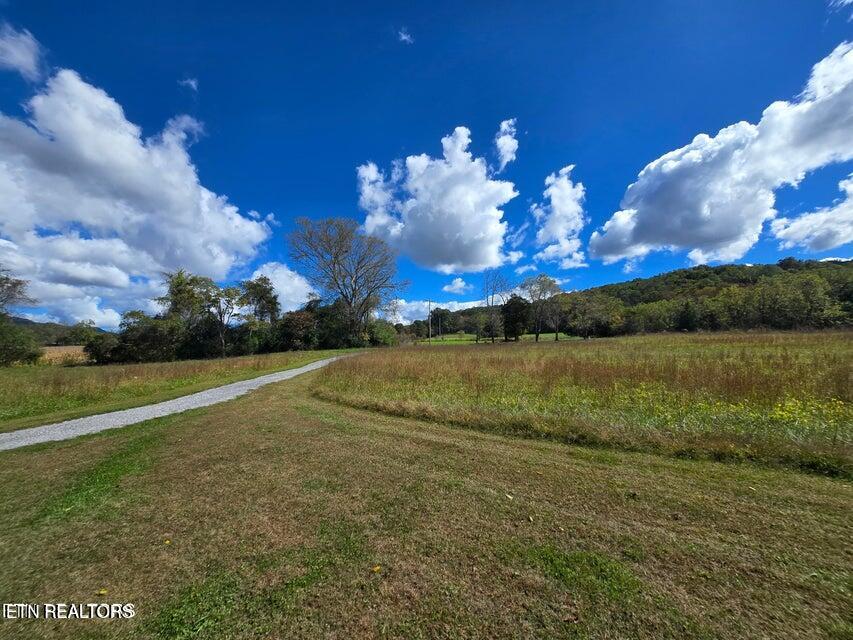 20377 Wilderness Road Rose Hill, VA 24281 - Photo 34 of 49 20251014002722458785000000-o