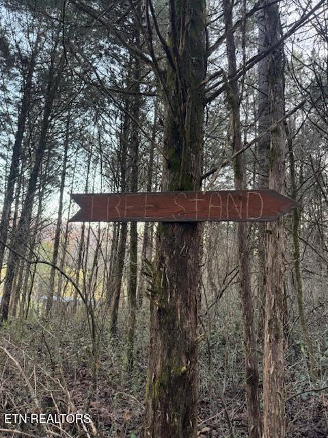 20377 Wilderness Road Rose Hill, VA 24281 - Photo 36 of 49 10