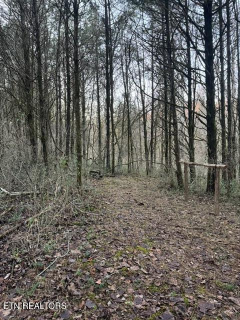 20377 Wilderness Road Rose Hill, VA 24281 - Photo 38 of 49 14