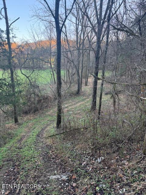 20377 Wilderness Road Rose Hill, VA 24281 - Photo 39 of 49 15