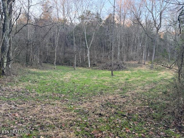 20377 Wilderness Road Rose Hill, VA 24281 - Photo 40 of 49 16