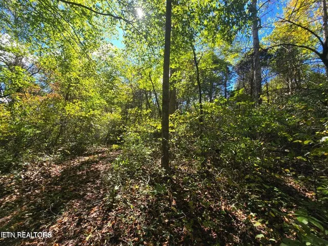 $250,000 | 20377 Wilderness Road, Rose Hill, VA 24281