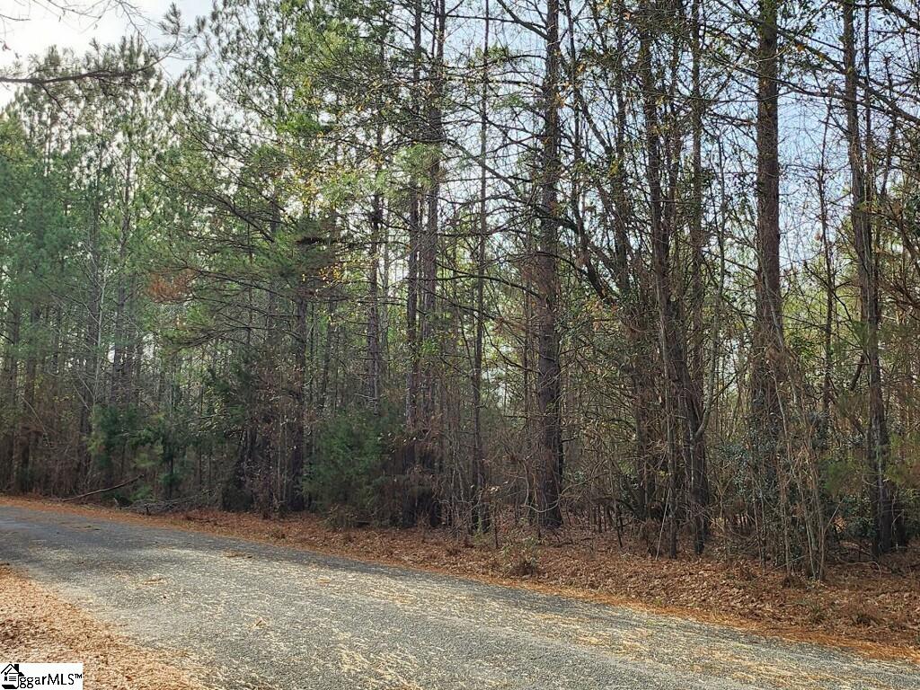 1140 Marler Road Gray Court, SC 29645 - Photo 1 of 4