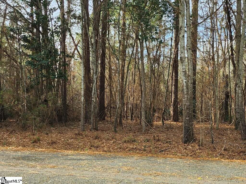 1140 Marler Road Gray Court, SC 29645 - Photo 2 of 4