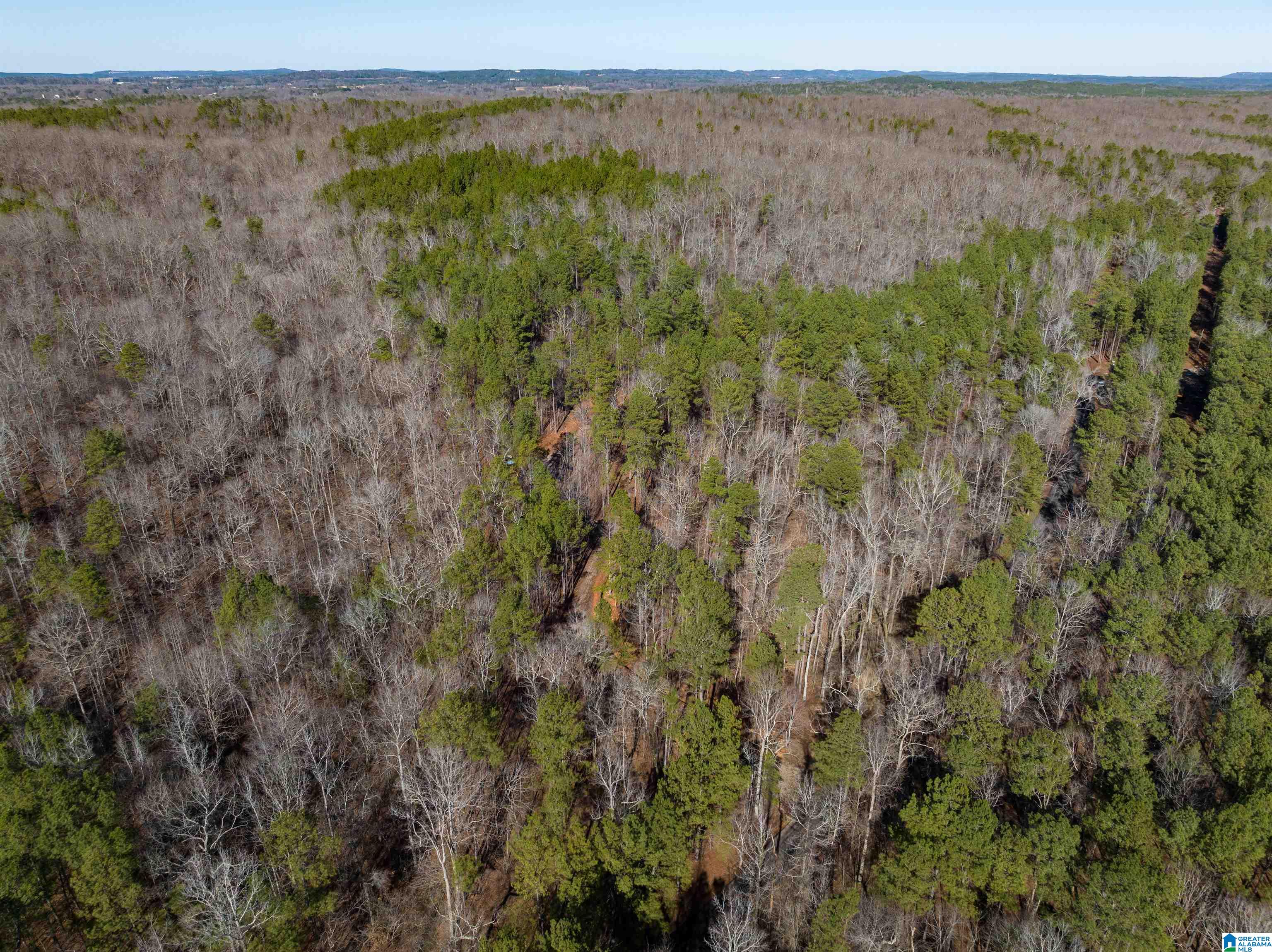 3659 McClendon Chapel Road, Unit 2 Bessemer, AL 35022 - Photo 6 of 44