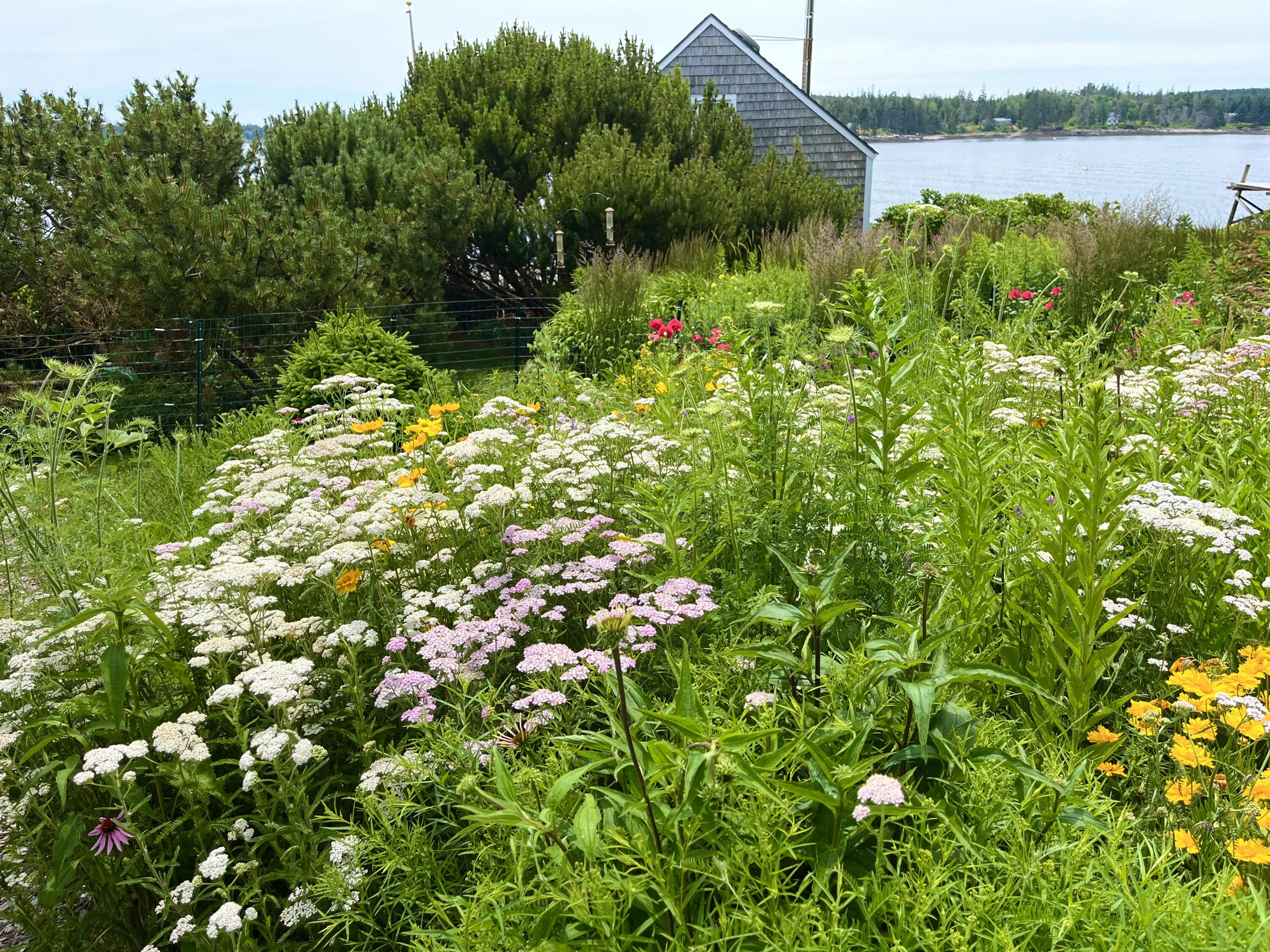 170 Horse Point Road Tenants Harbor, ME 04860 - Photo 13 of 71 IMG_4802