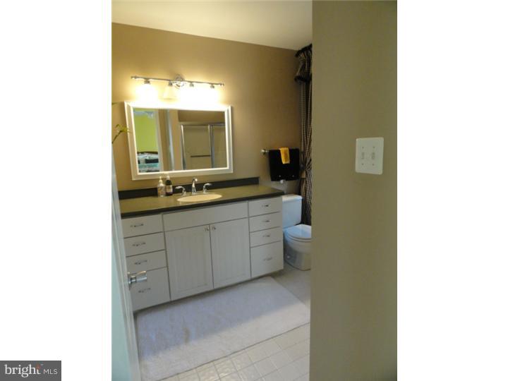 84 Andover Court Chesterbrook, PA 19087 - Photo 19 of 21 Master Bathroom