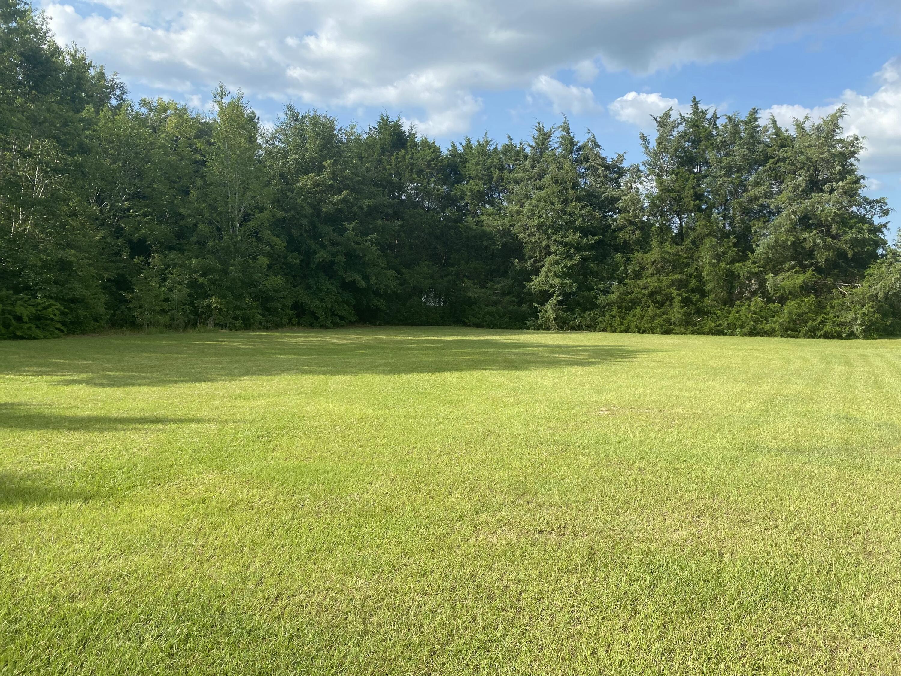 3317 Slab Landing Road Orangeburg, SC 29115 - Photo 2 of 14 3317 Slab landing back yard
