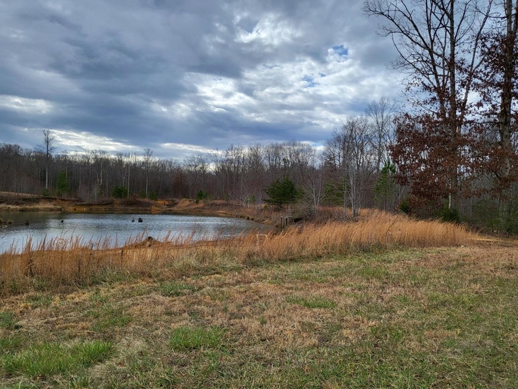0 Acre Laural Brook Road Dunlap, TN 37327 - Photo 4 of 7 Gallery Image 4