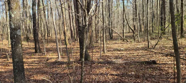 $270,960 | 0 Gap Road, McMinnville, TN 37110