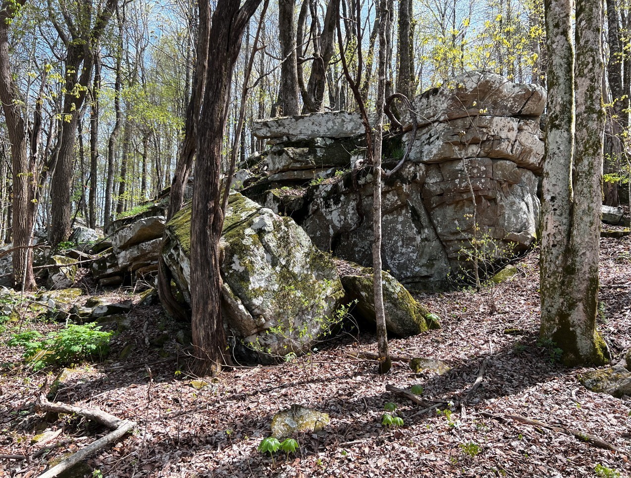 0 Gap Road McMinnville, TN 37110 - Photo 13 of 37