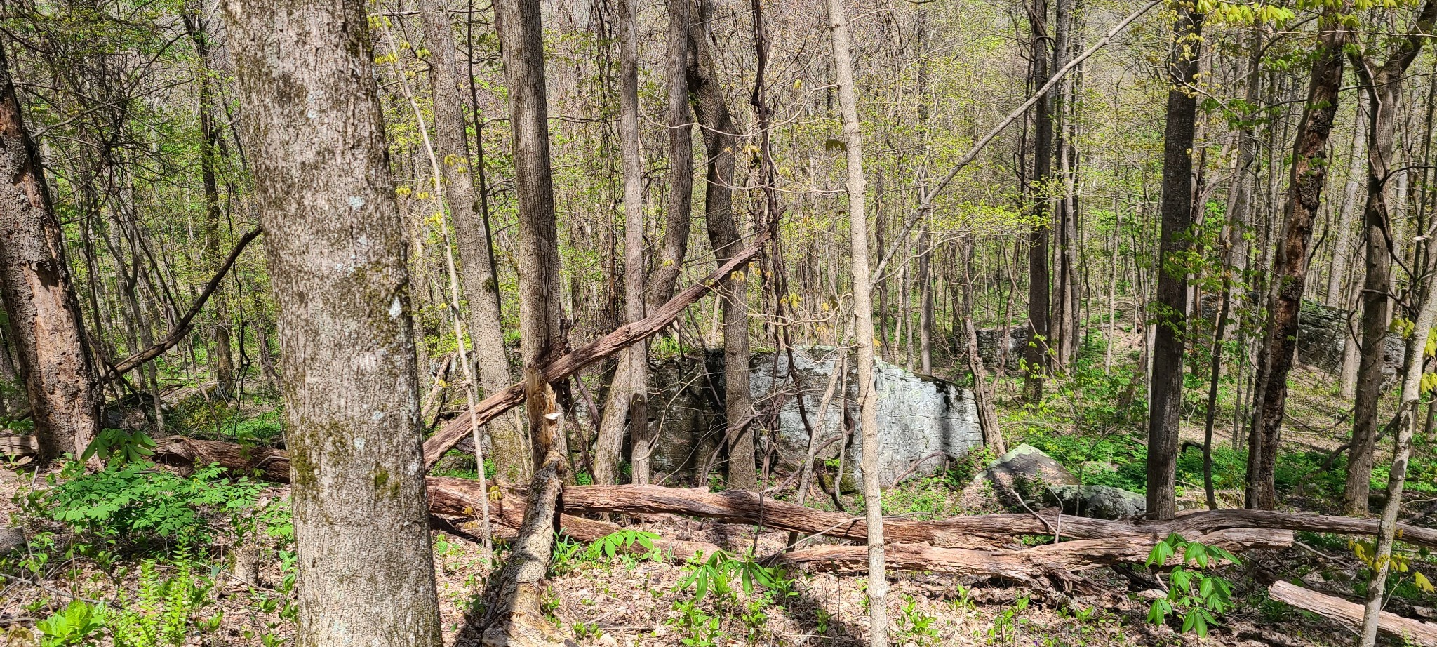 0 Gap Road McMinnville, TN 37110 - Photo 23 of 37