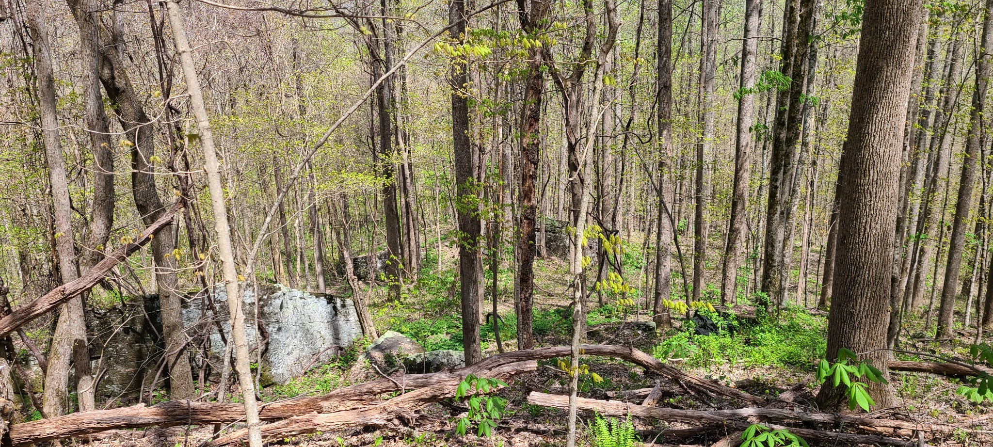 0 Gap Road McMinnville, TN 37110 - Photo 24 of 37