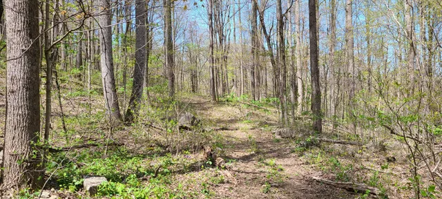 $270,960 | 0 Gap Road, McMinnville, TN 37110