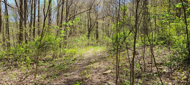 $270,960 | 0 Gap Road, McMinnville, TN 37110