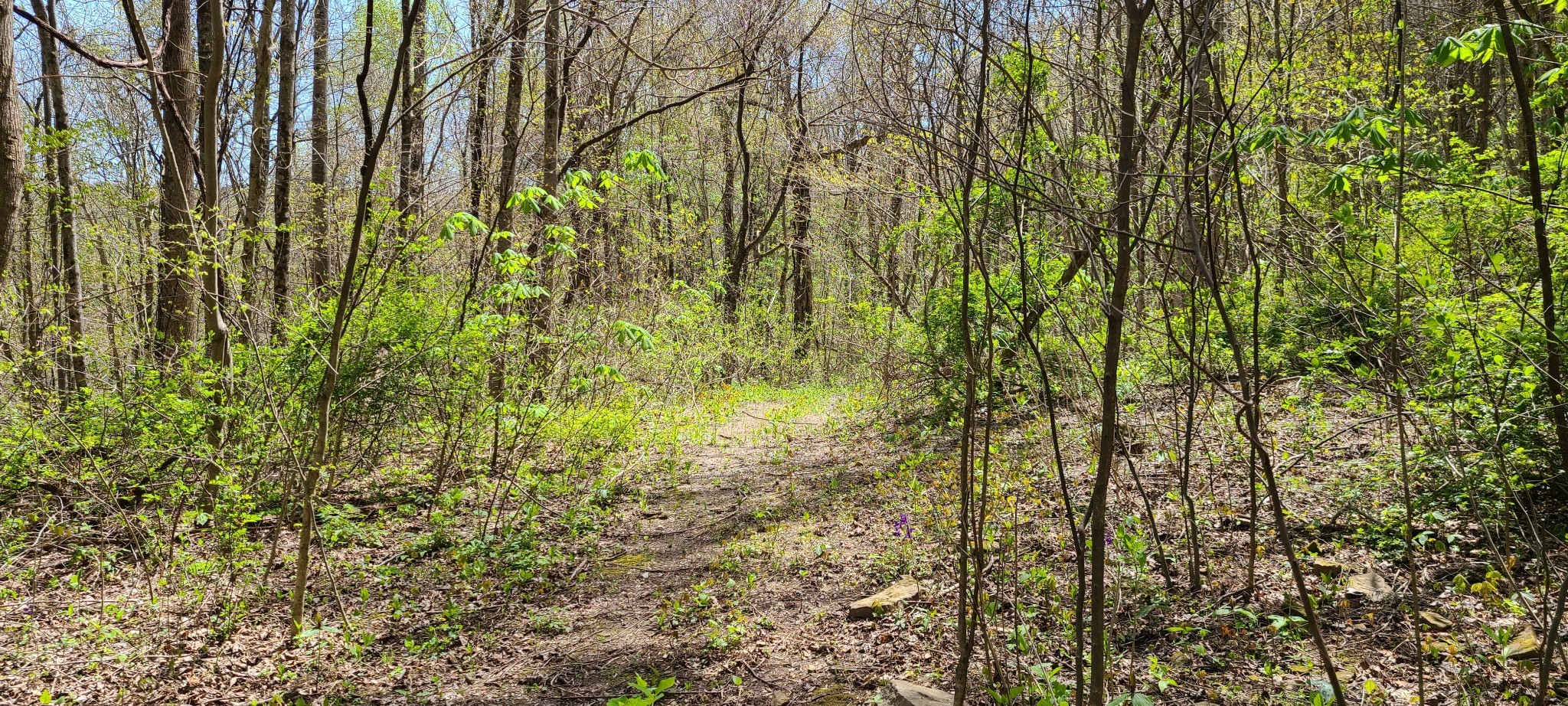 0 Gap Road McMinnville, TN 37110 - Photo 29 of 37