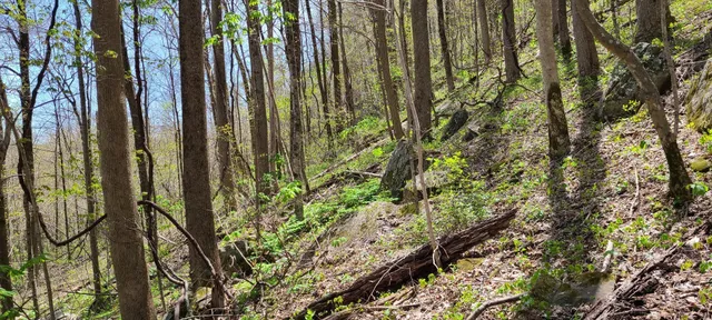 $270,960 | 0 Gap Road, McMinnville, TN 37110