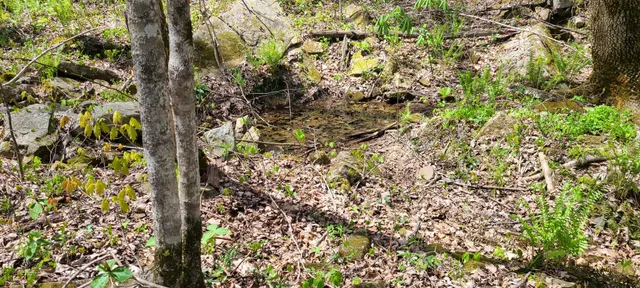 $270,960 | 0 Gap Road, McMinnville, TN 37110