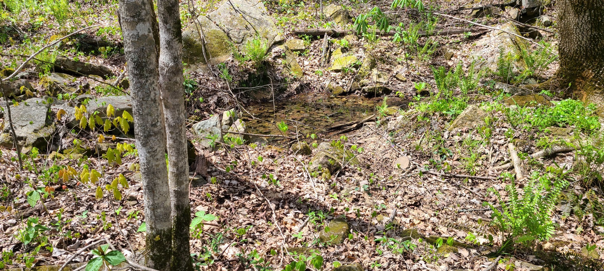 0 Gap Road McMinnville, TN 37110 - Photo 34 of 37