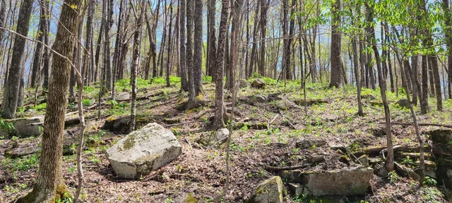 $270,960 | 0 Gap Road, McMinnville, TN 37110