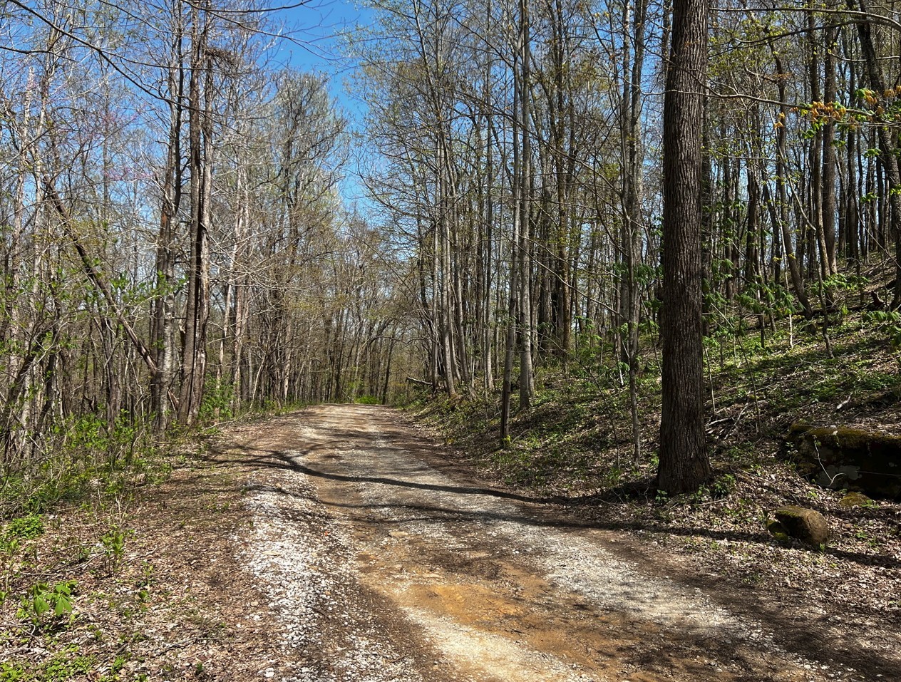 0 Gap Road McMinnville, TN 37110 - Photo 4 of 37
