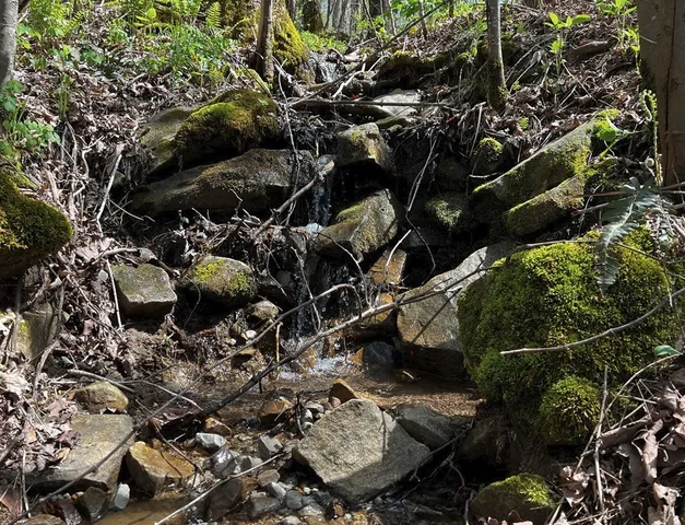 $270,960 | 0 Gap Road, McMinnville, TN 37110