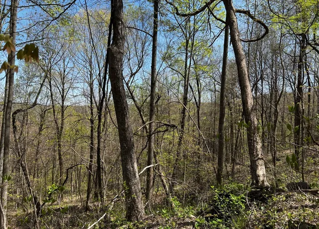 $270,960 | 0 Gap Road, McMinnville, TN 37110