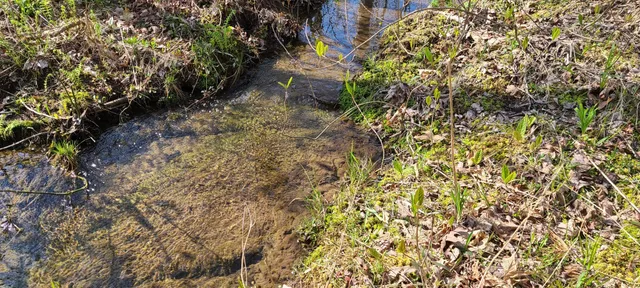 $270,960 | 0 Gap Road, McMinnville, TN 37110